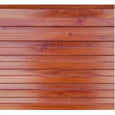 Сайданг А-031 /япон хүрэн/