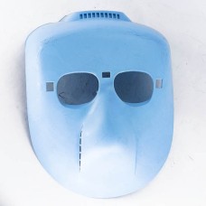 Гагнуурын цэнхэр нүүрэвч баг